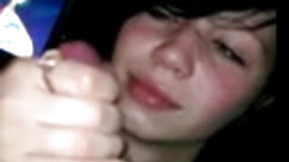 లక్కీ ఫెలో మరియు పెటిట్ చిక్ గది మధ్యలో సోఫాపై ప్రేమను కలిగిస్తాయి